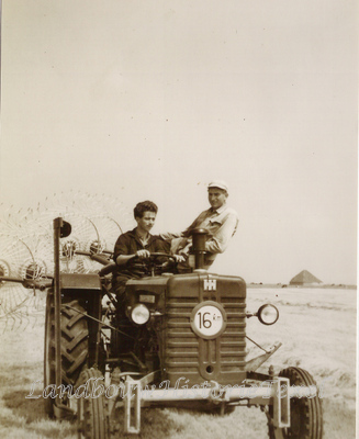 mc cormick d 217